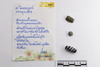 Group of objects acquired together