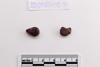 Beads