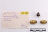 Group of objects acquired together