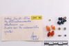Group of objects acquired together