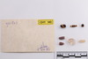 Group of objects acquired together