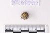 Beads