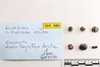 Group of objects acquired together
