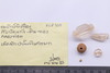 Group of objects acquired together