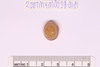 Intaglio