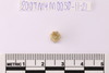 Gold in glass Beads