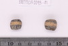 Beads