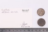 Conch Shell-Sriwatsa Coin