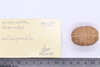 Group of objects acquired together
