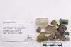Group of objects acquired together