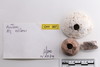 Group of objects acquired together