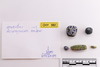 Group of objects acquired together