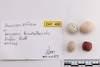 Group of objects acquired together
