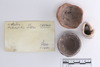 Group of objects acquired together