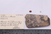 Group of objects acquired together