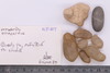 Group of objects acquired together