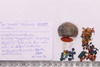 Group of objects acquired together