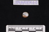 Intaglio