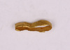 Gold wirework