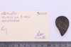 Group of objects acquired together