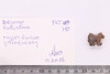 Group of objects acquired together