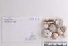 Group of objects acquired together