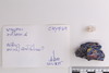Group of objects acquired together