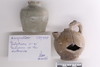 Group of objects acquired together