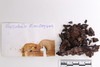 Group of objects acquired together