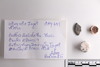 Group of objects acquired together