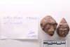 Group of objects acquired together