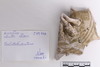 Group of objects acquired together