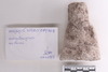 Group of objects acquired together