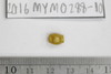 Gold in glass Beads
