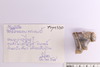 Group of objects acquired together