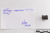 Group of objects acquired together