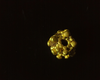 Gold Bead