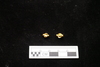 Gold Bead