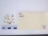 Polyhedral gold Bead
