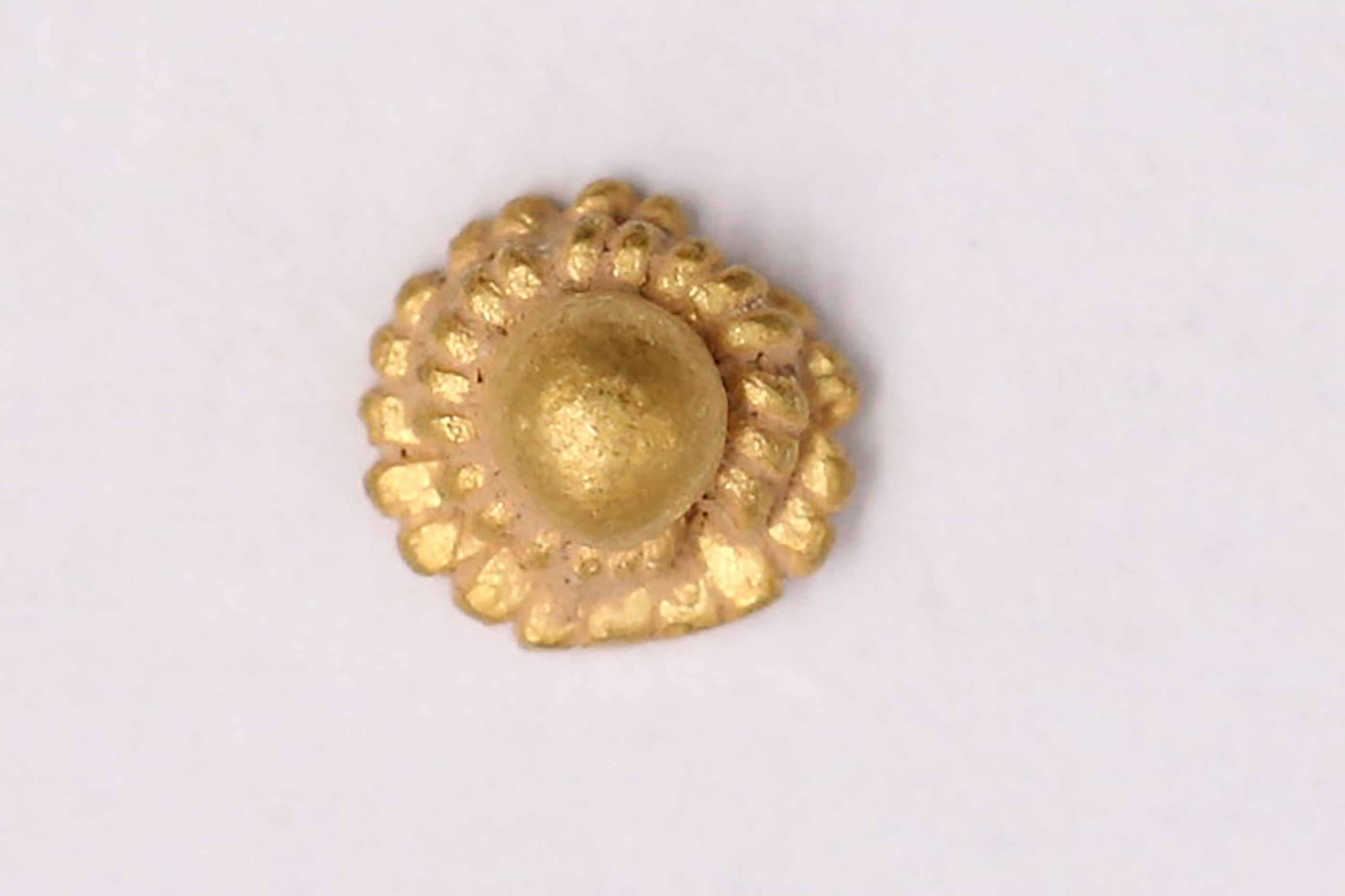 AIMG_3855.jpg