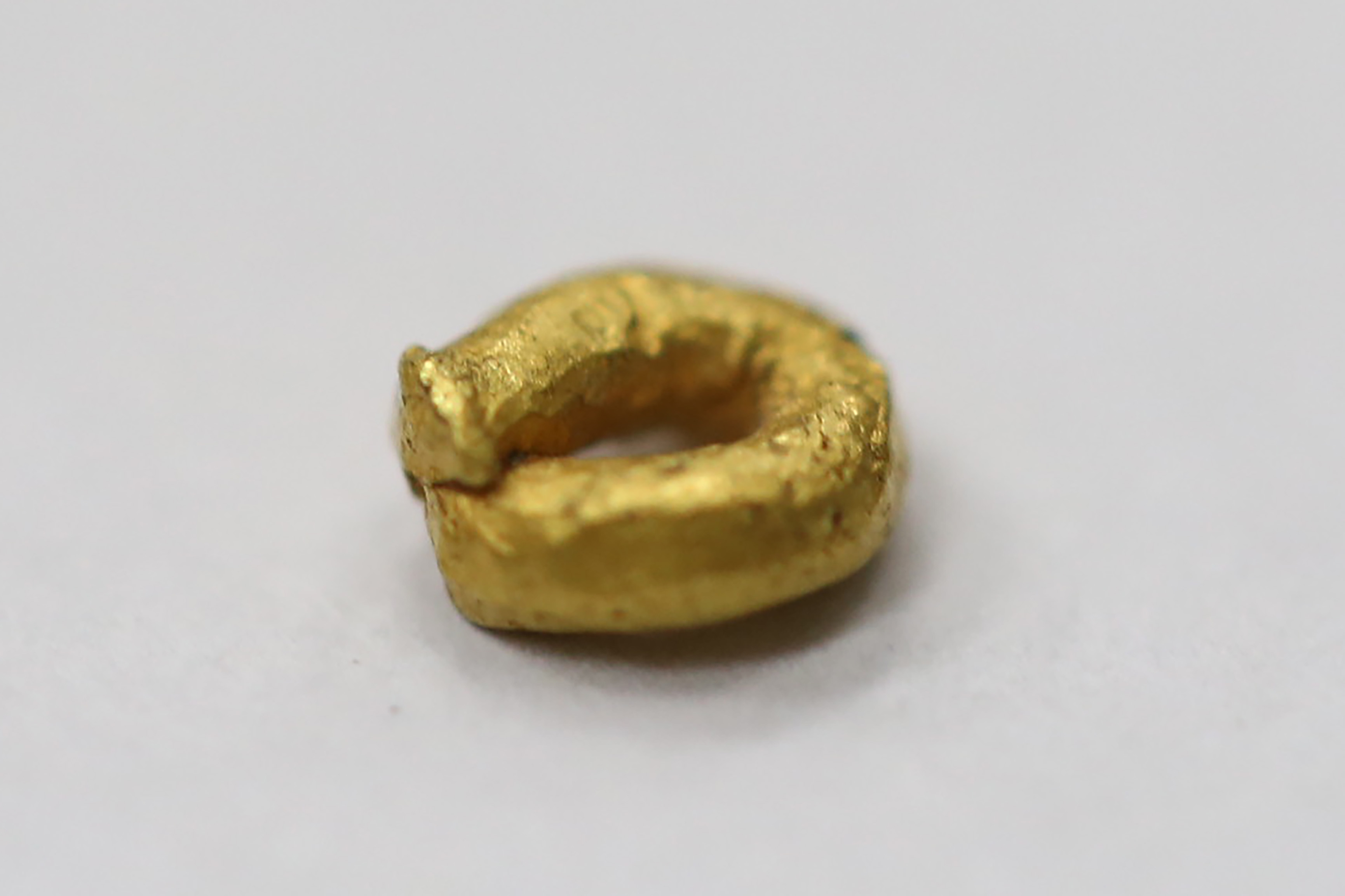 AIMG_2431.jpg
