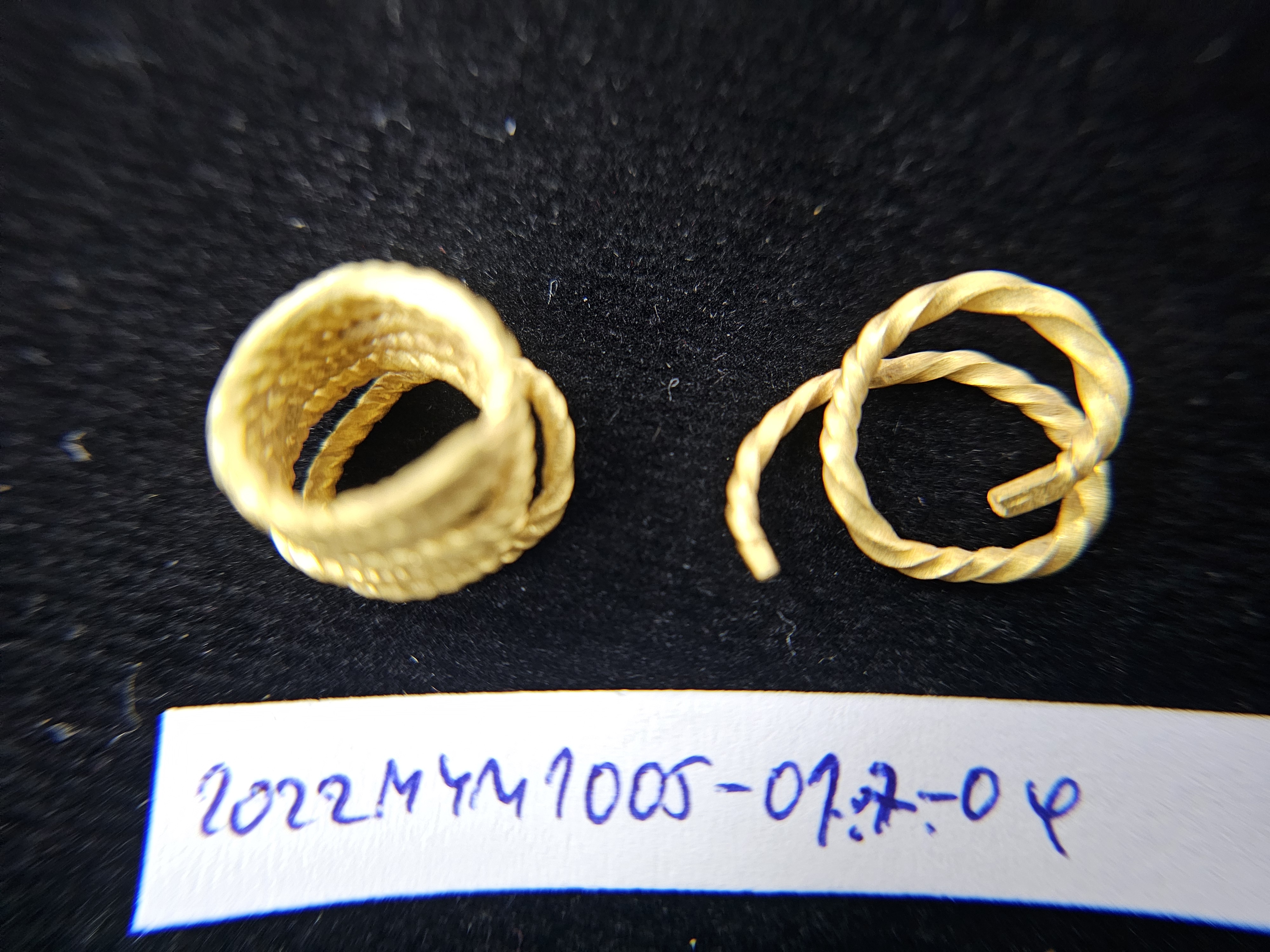 20250407_125313.jpg